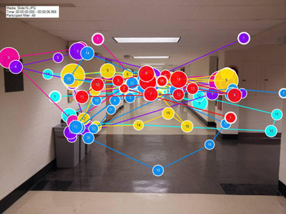 Gopher Way Task Analysis; Gaze Plot & Heat Map